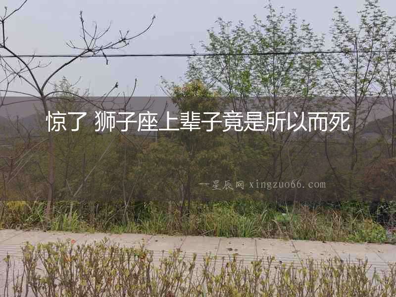 驚了 獅子座上輩子竟是所以而死