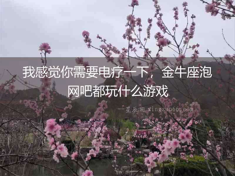 我感覺你需要電療一下，金牛座泡網(wǎng)吧都玩什么游戲