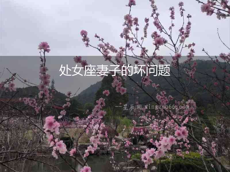 處女座妻子的壞問(wèn)題