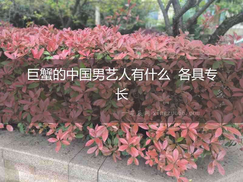 巨蟹的中國男藝人有什么  各具專長