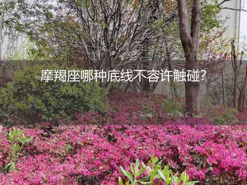 摩羯座哪種底線不容許觸碰？