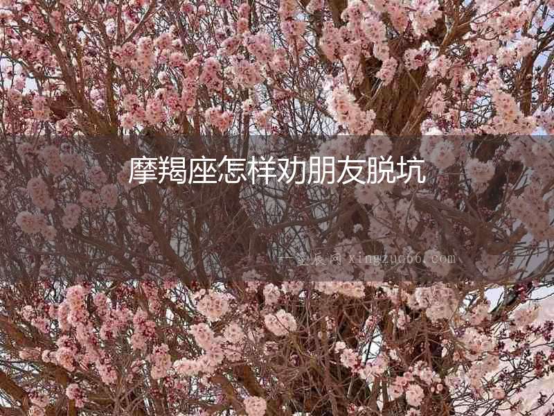 摩羯座怎樣勸朋友脫坑