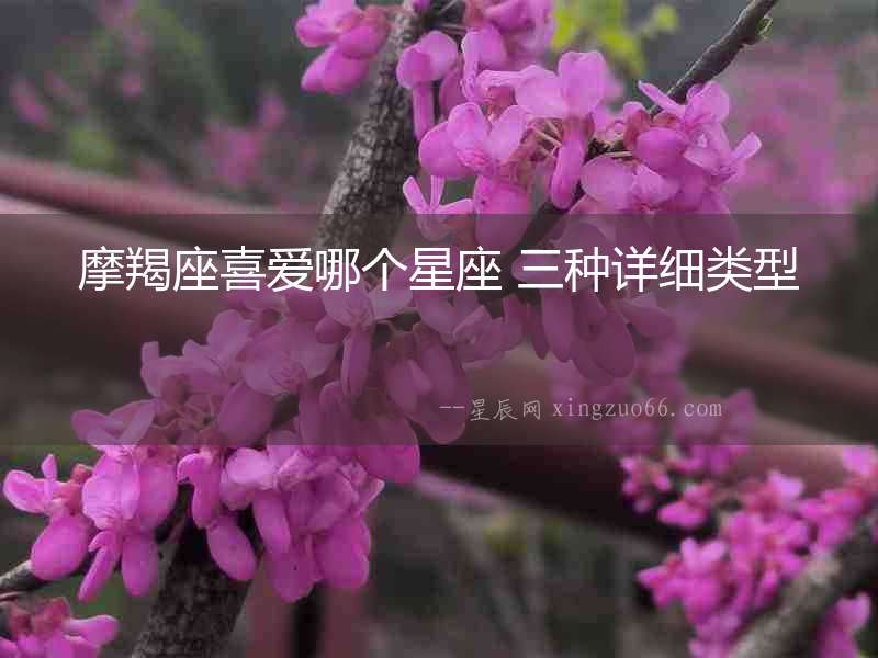摩羯座喜愛哪個星座 三種詳細類型