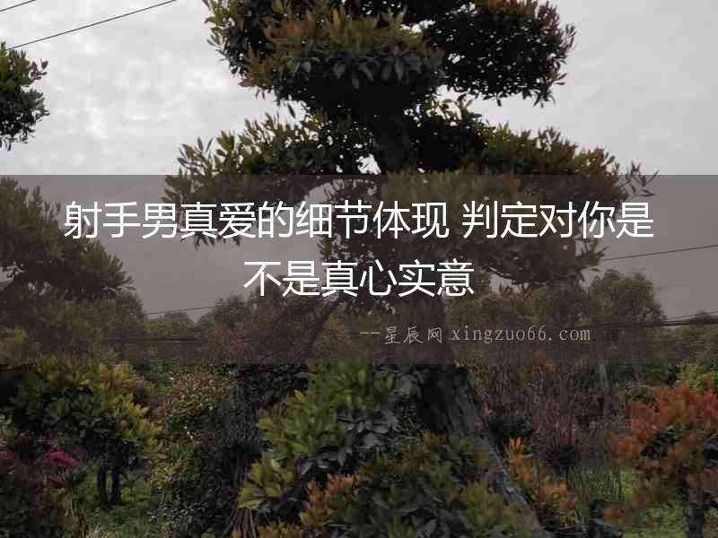 射手男真愛的細節體現 判定對你是不是真心實意