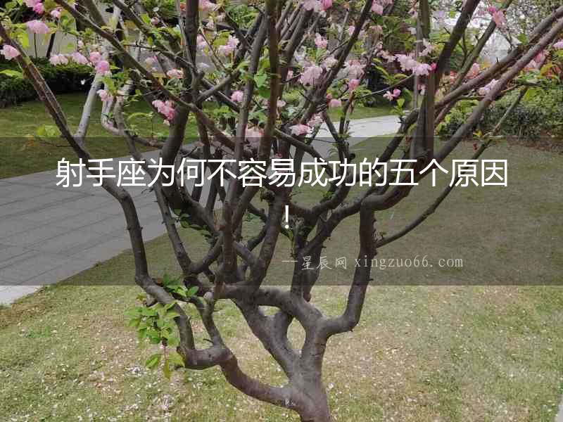 射手座為何不容易成功的五個原因！