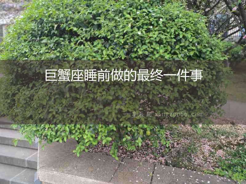 巨蟹座睡前做的最終一件事