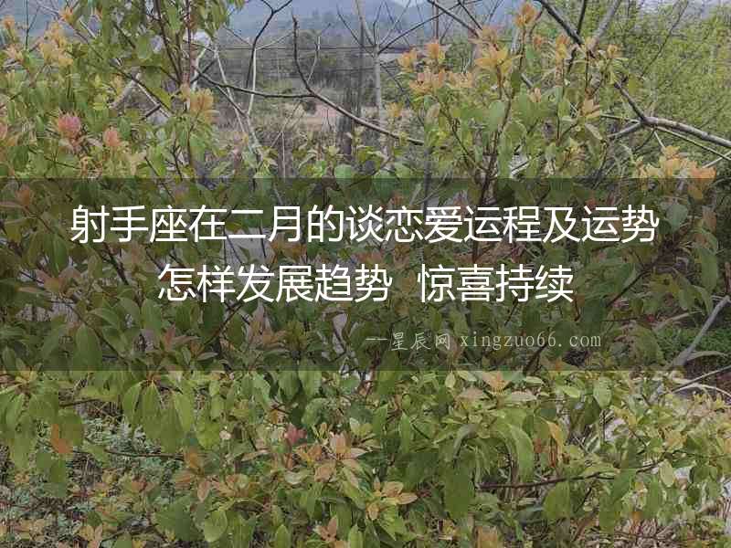 射手座在二月的談戀愛運程及運勢怎樣發展趨勢  驚喜持續