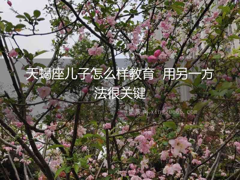 天蝎座兒子怎么樣教育  用另一方法很關鍵