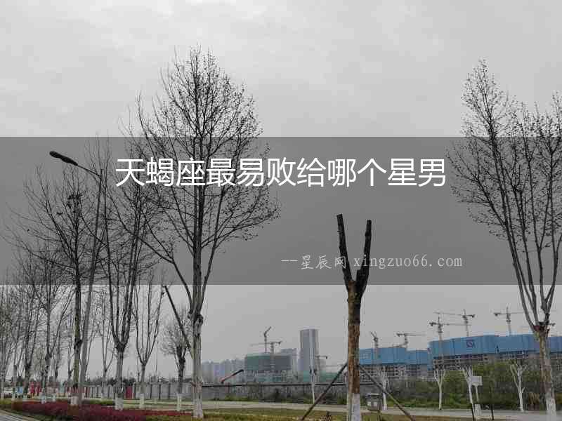天蝎座最易敗給哪個星男