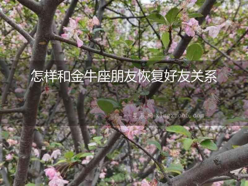 怎樣和金牛座朋友恢復(fù)好友關(guān)系