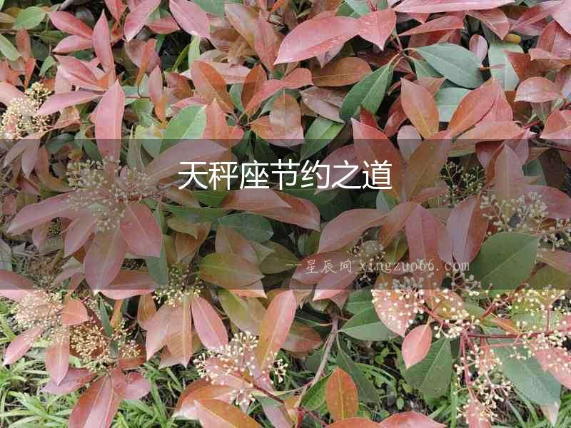 天秤座節約之道