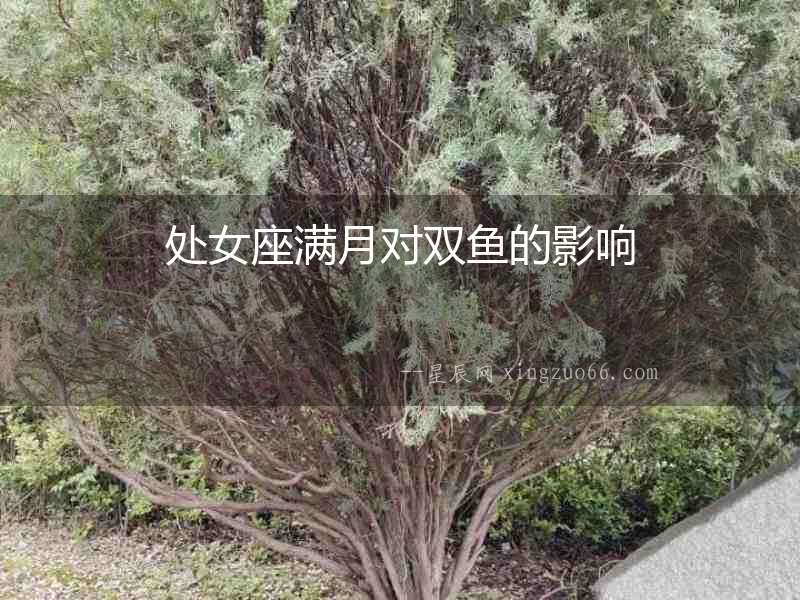 處女座滿(mǎn)月對(duì)雙魚(yú)的影響