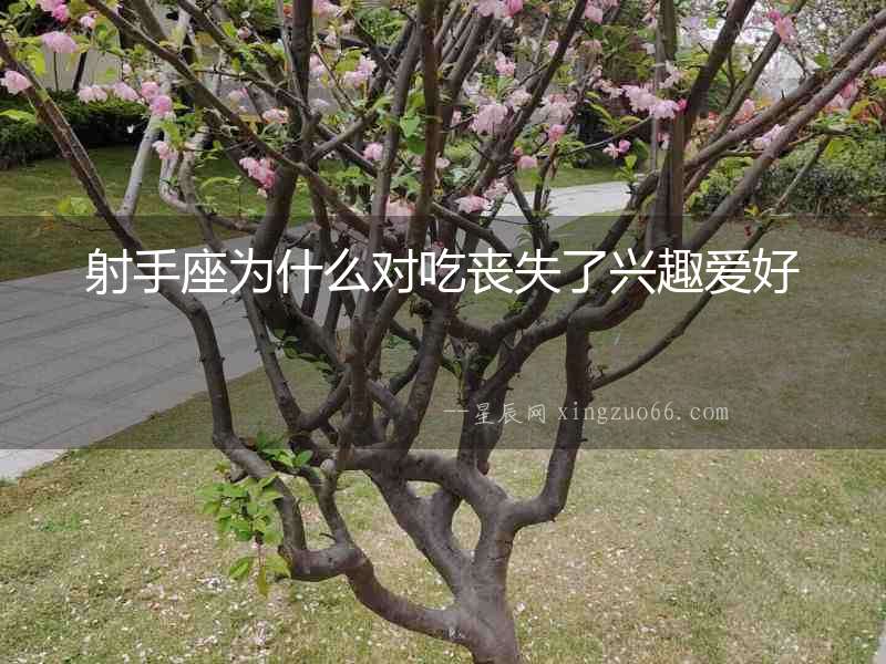 射手座為什么對(duì)吃喪失了興趣愛(ài)好