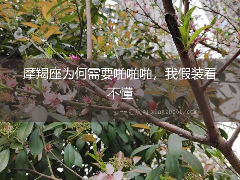 摩羯座為何需要啪啪啪，我假裝看不懂
