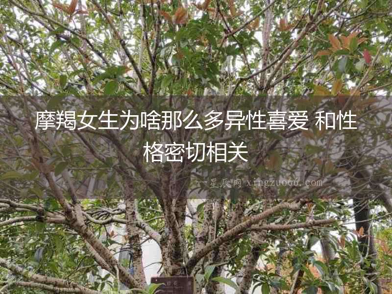 摩羯女生為啥那么多異性喜愛 和性格密切相關