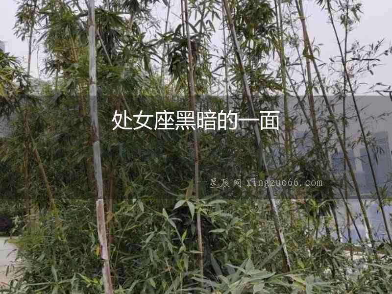 處女座黑暗的一面
