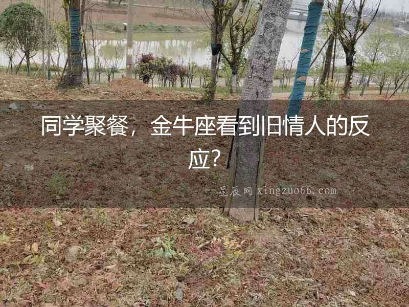 同學聚餐，金牛座看到舊情人的反應？