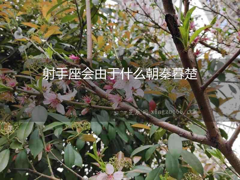 射手座會由于什么朝秦暮楚