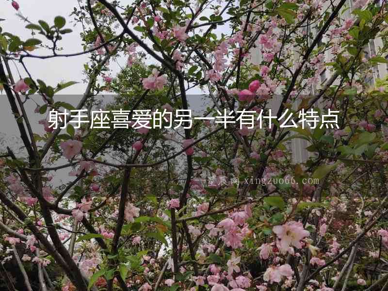 射手座喜愛的另一半有什么特點(diǎn)