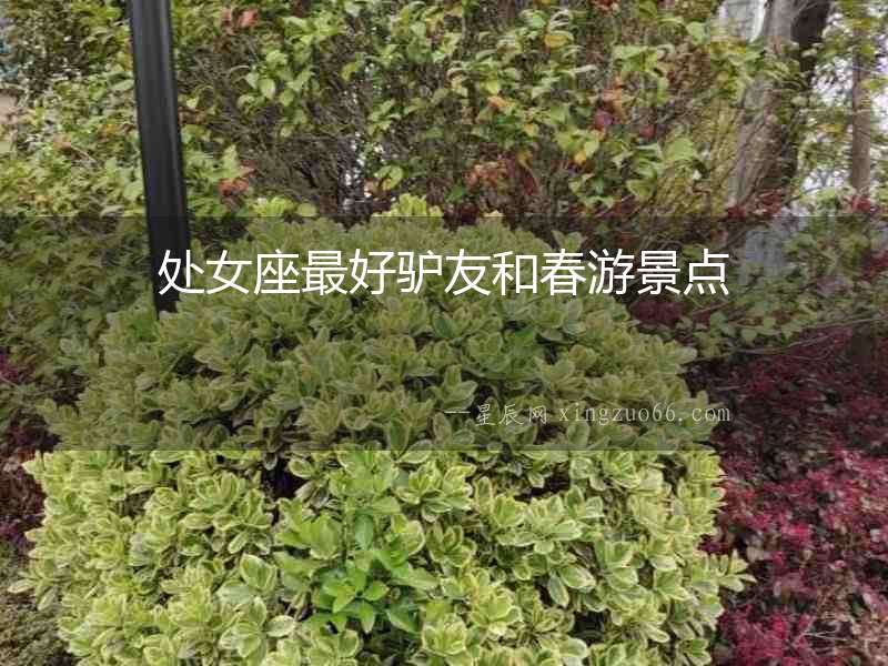 處女座最好驢友和春游景點
