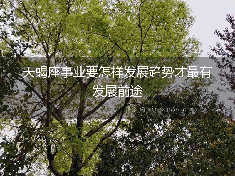 天蝎座事業(yè)要怎樣發(fā)展趨勢(shì)才最有發(fā)展前途