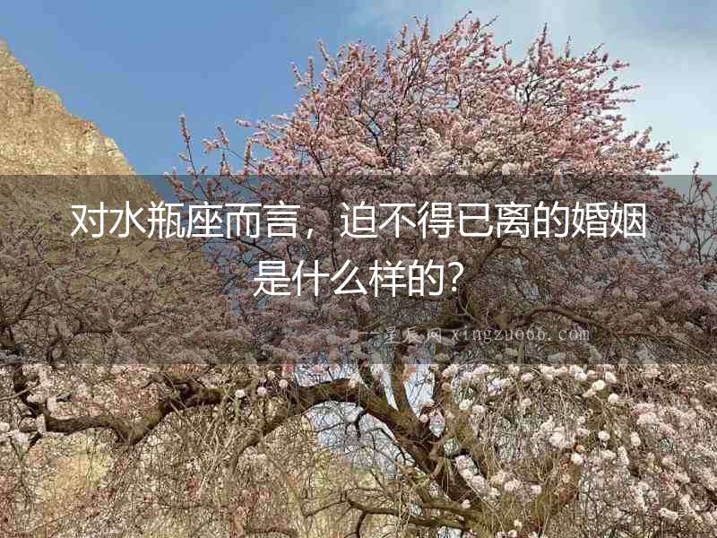 對(duì)水瓶座而言，迫不得已離的婚姻是什么樣的？
