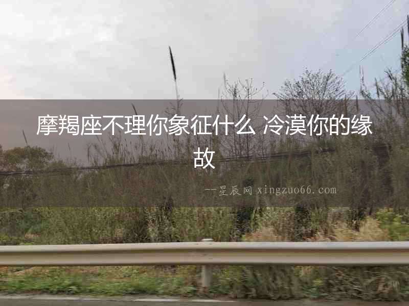 摩羯座不理你象征什么 冷漠你的緣故