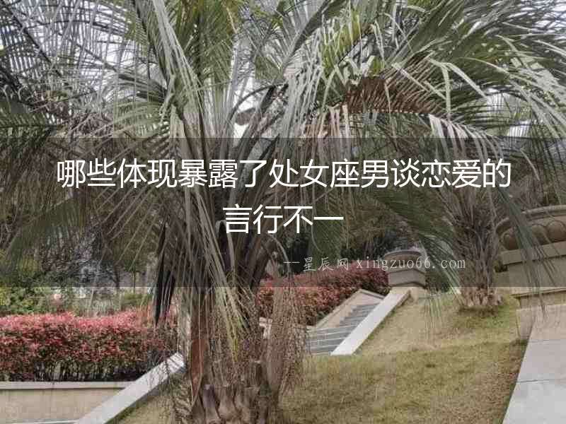 哪些體現(xiàn)暴露了處女座男談戀愛的言行不一