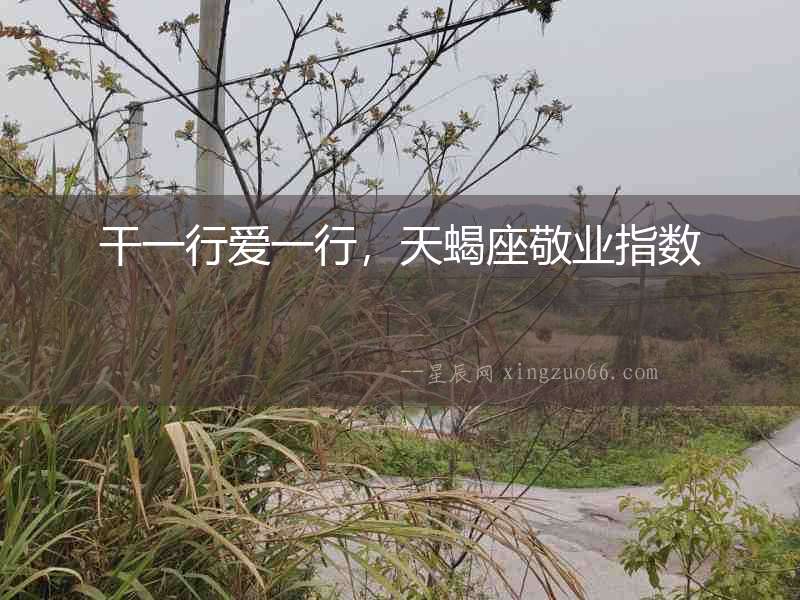 干一行愛一行，天蝎座敬業(yè)指數(shù)