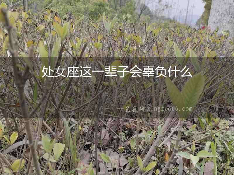 處女座這一輩子會辜負(fù)什么