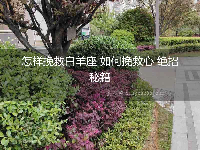 怎樣挽救白羊座 如何挽救心 絕招秘籍