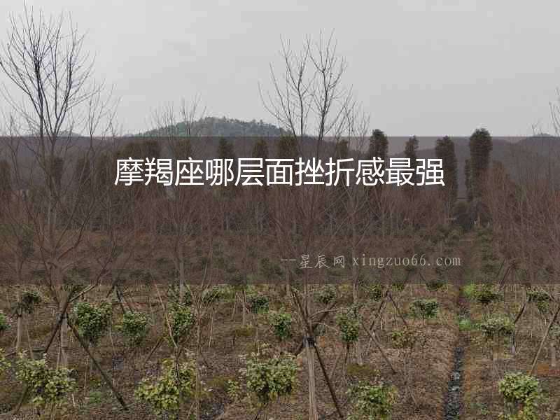 摩羯座哪層面挫折感最強