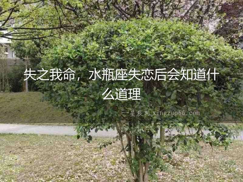 失之我命，水瓶座失戀后會(huì)知道什么道理