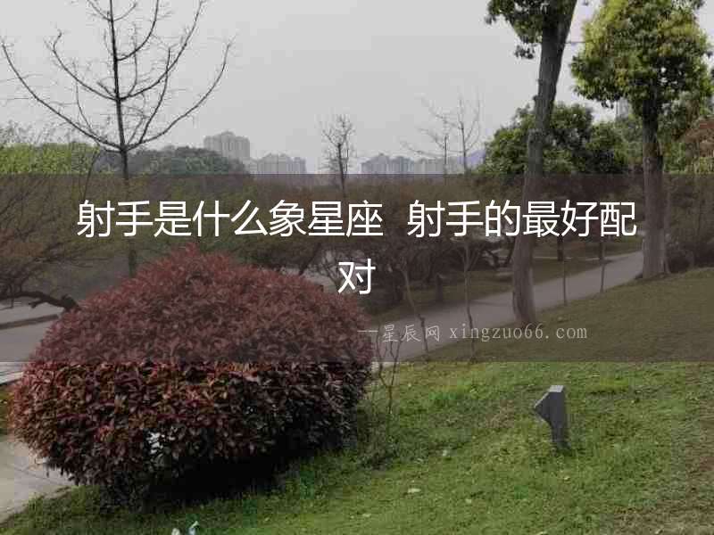射手是什么象星座  射手的最好配對