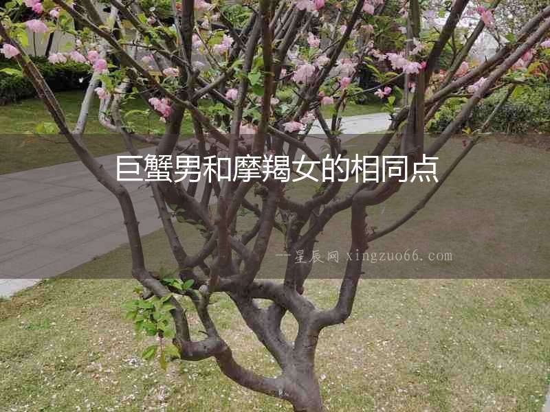 巨蟹男和摩羯女的相同點
