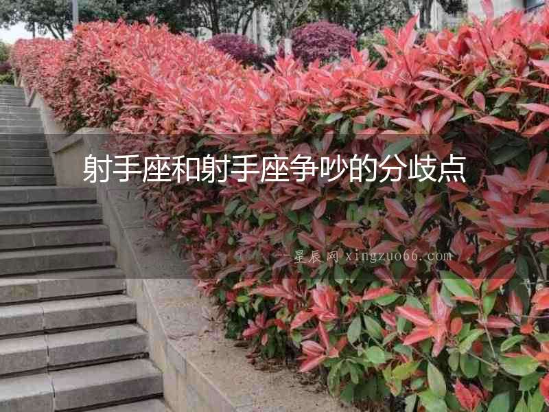 射手座和射手座爭吵的分歧點