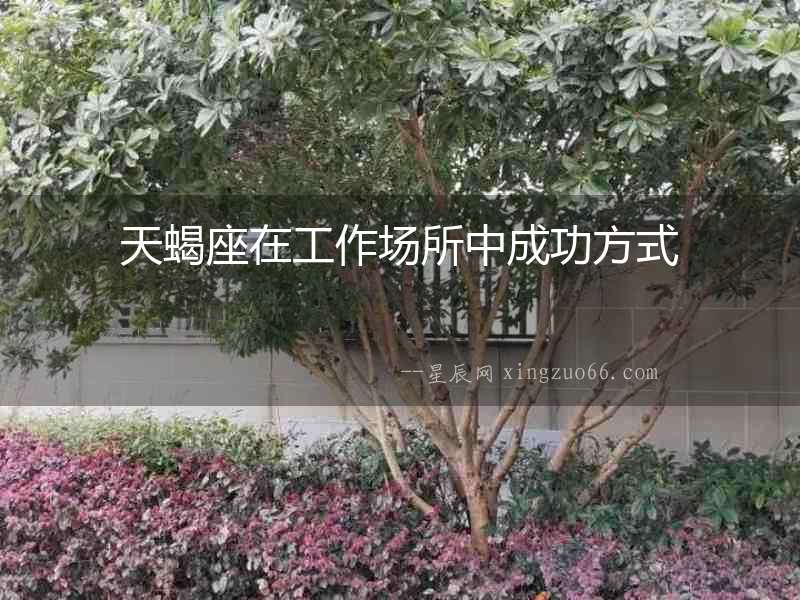 天蝎座在工作場所中成功方式