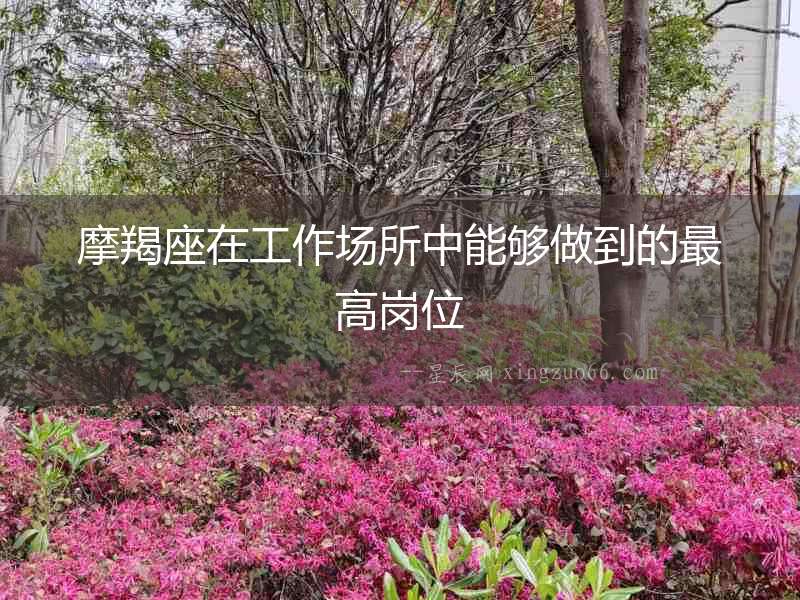 摩羯座在工作場所中能夠做到的最高崗位