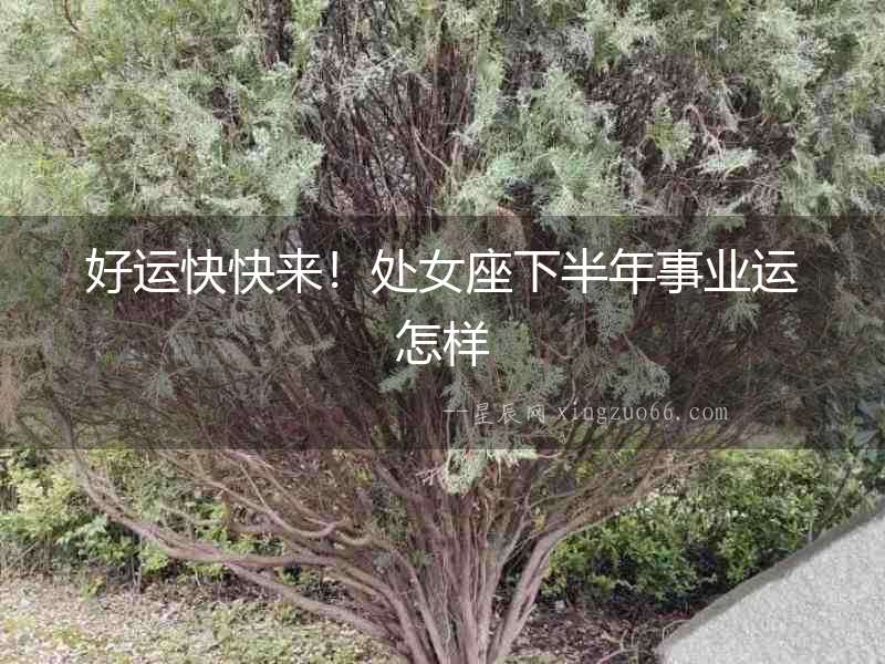 好運(yùn)快快來(lái)！處女座下半年事業(yè)運(yùn)怎樣