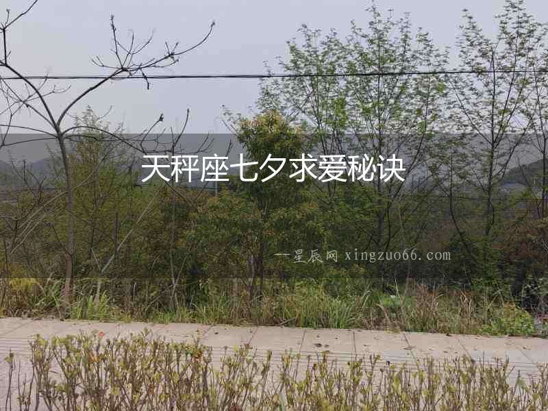 天秤座七夕求愛秘訣