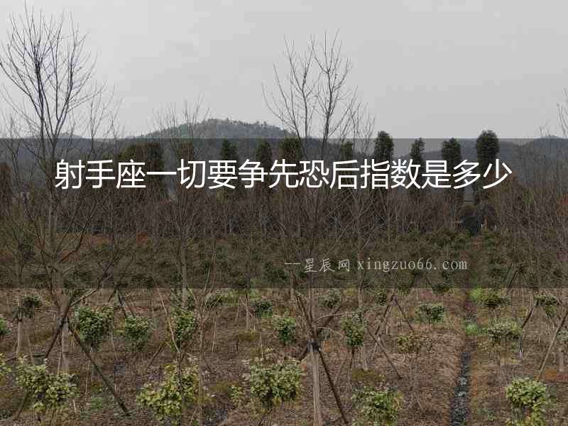 射手座一切要爭先恐后指數(shù)是多少