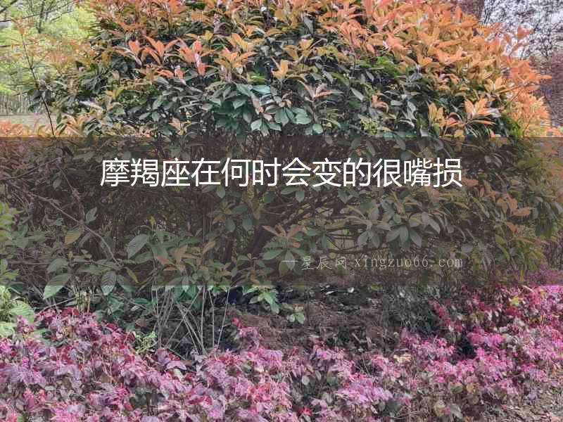 摩羯座在何時會變的很嘴損