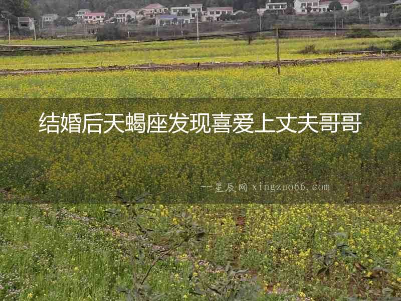 結婚后天蝎座發現喜愛上丈夫哥哥