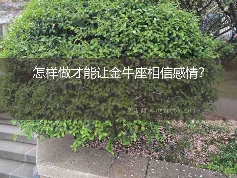 怎樣做才能讓金牛座相信感情？