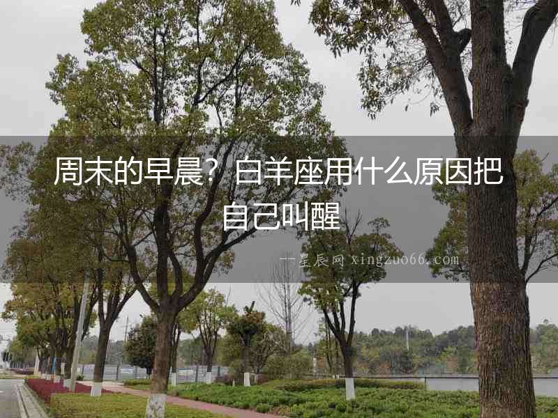 周末的早晨？白羊座用什么原因把自己叫醒