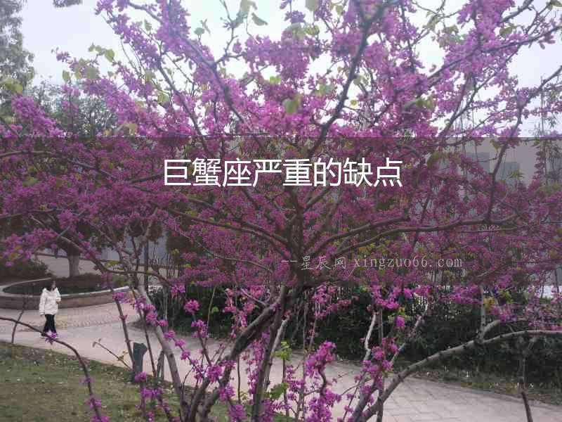 巨蟹座嚴重的缺點