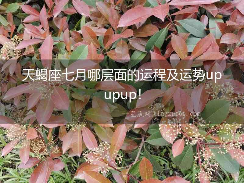天蝎座七月哪層面的運程及運勢upupup！