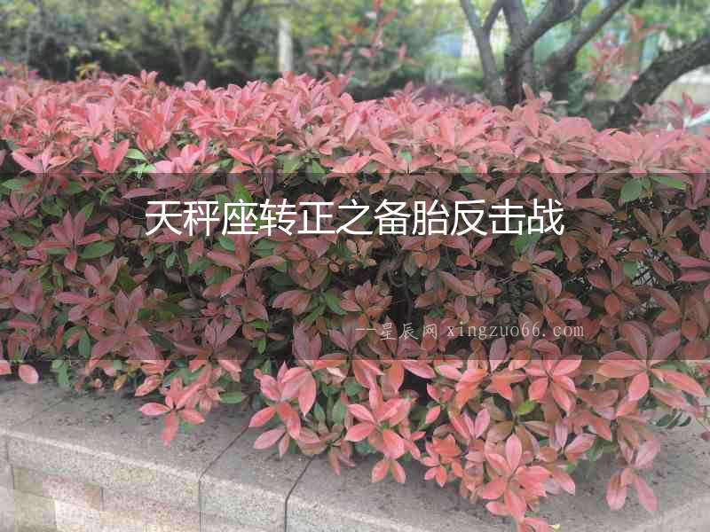 天秤座轉(zhuǎn)正之備胎反擊戰(zhàn)