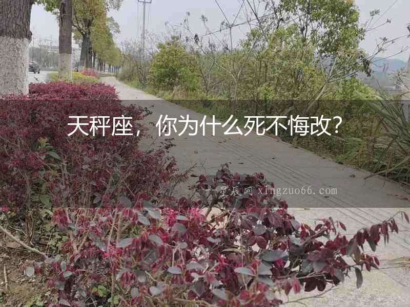 天秤座，你為什么死不悔改？