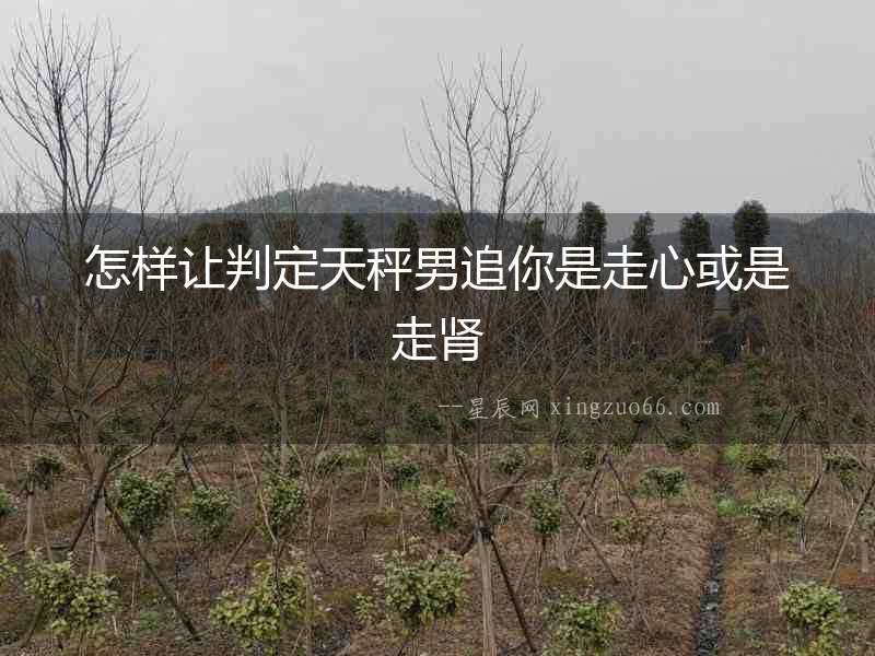 怎樣讓判定天秤男追你是走心或是走腎